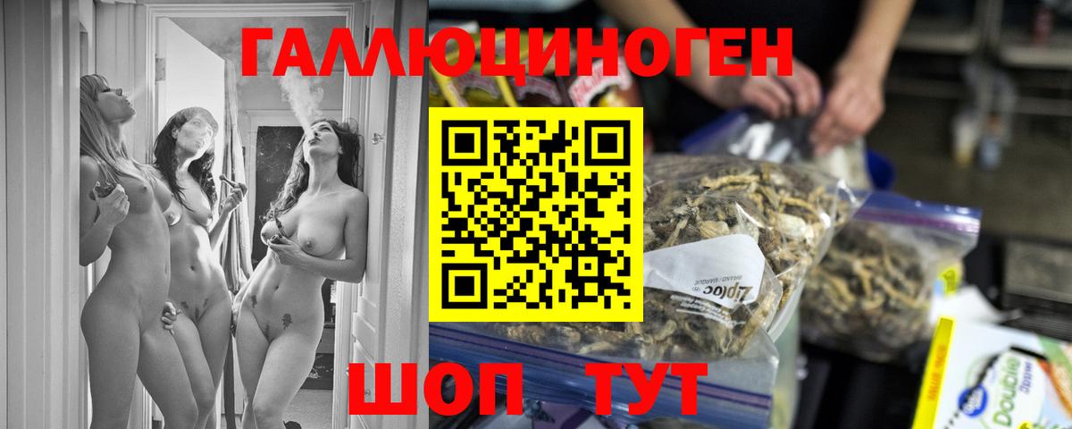 Краснодар  Галлюциногенные грибы Cubensis  Вход с VPN  Псилоцибиновые грибы мицелий 